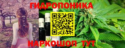 стафф Лесосибирск